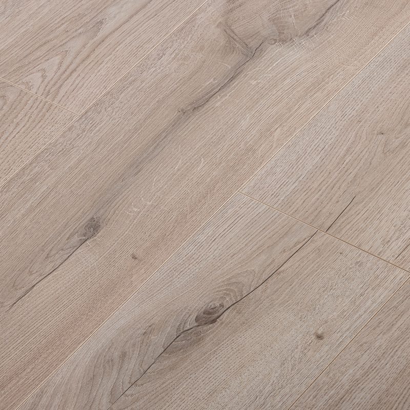 Ламинат Kastamonu Floorpan Black BLA009 "Дуб Риволи" — изображение 2