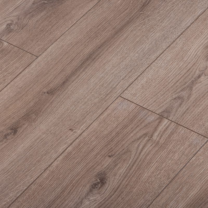 Ламинат Kastamonu Floorpan Black BLA010 "Дуб Прованс" — изображение 2