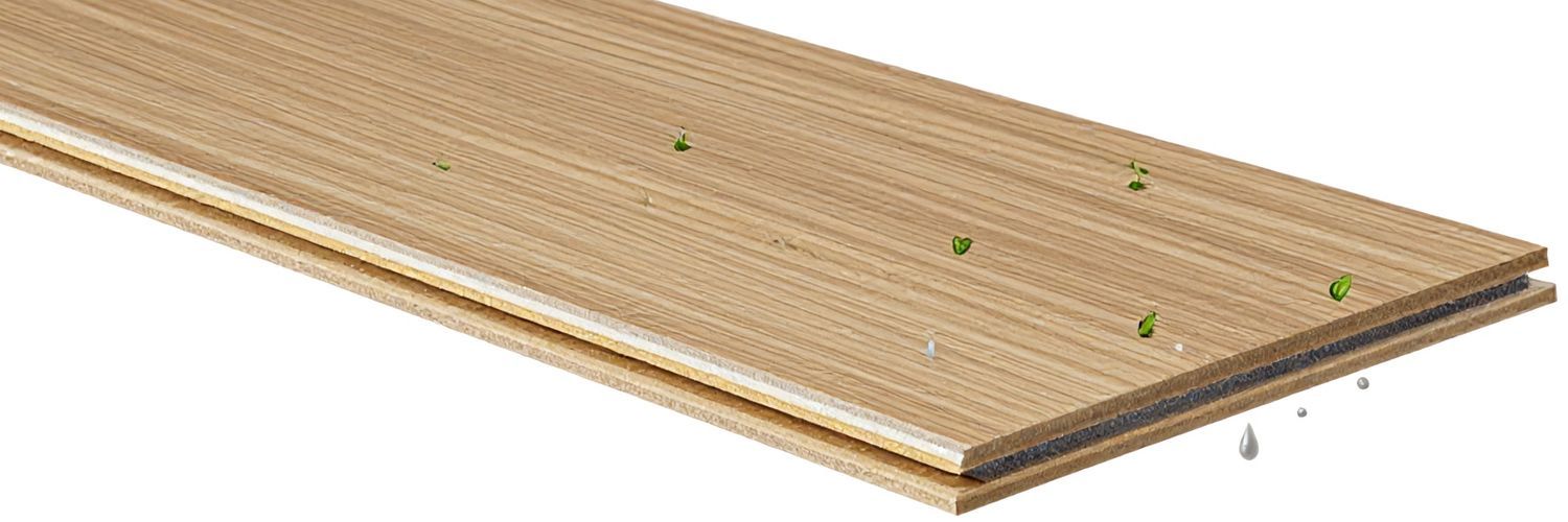 Заключение и итоги